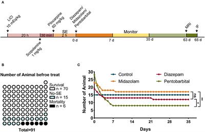 A Comparison of Epileptogenic Effect of Status Epilepticus Treated With Diazepam, Midazolam, and Pentobarbital in the Mouse Pilocarpine Model of Epilepsy